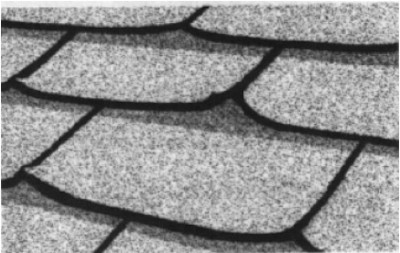 Old Age Damaged Roof